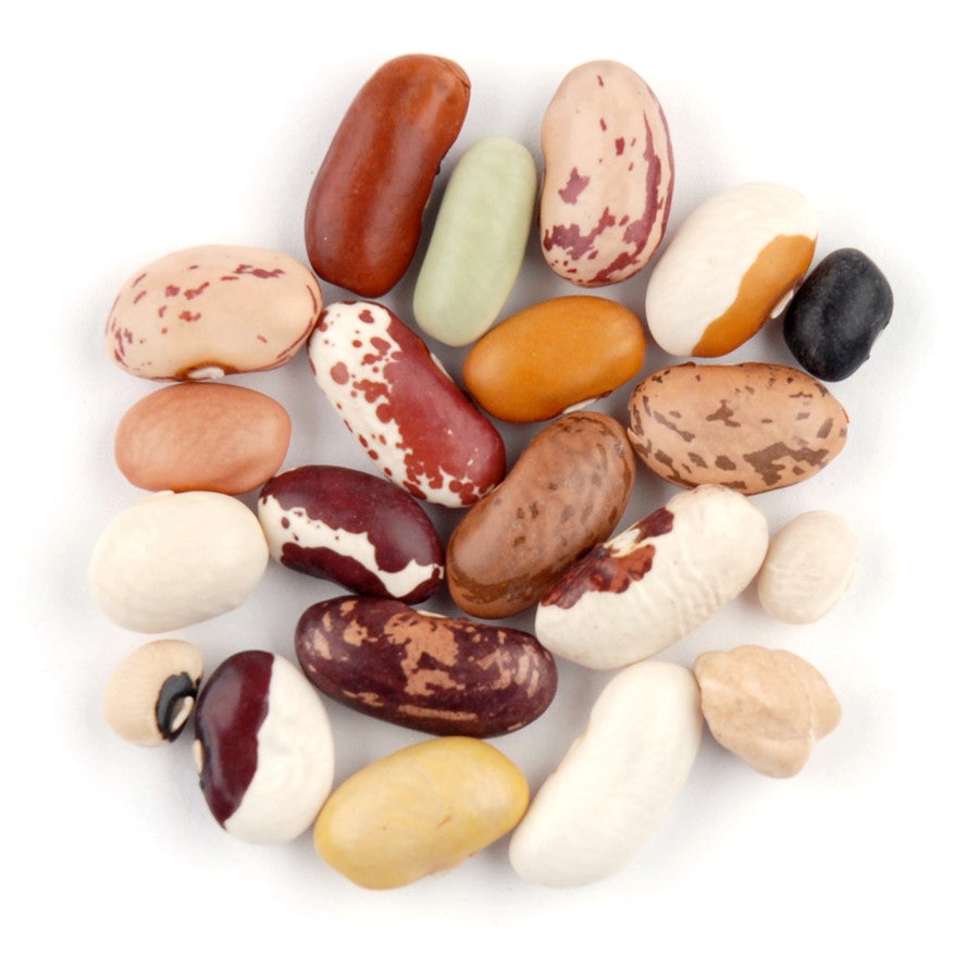 Bean Blend, 21, Dry,1 - 10 POUND