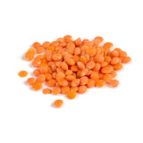Lentils, Red, Dried,1 - 10 POUND