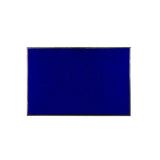 Floor Mat, Carpet, Blue, 36 x 24 Inch,1 - 1 EACH