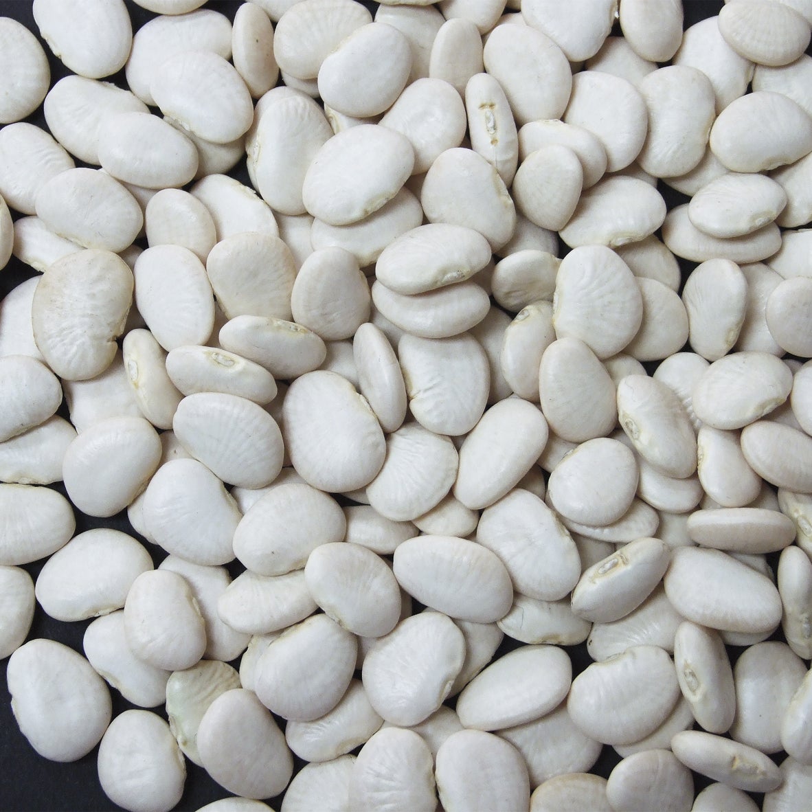 Beans, Lima, Baby, Dry-Packed,1 - 20 POUND