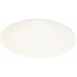 Salt, Garlic,6 - 38 OUNCE