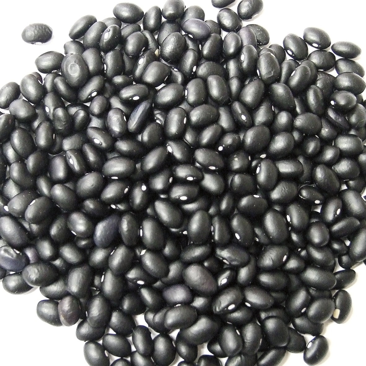 Beans, Black, Prewashed, Dry-Packed,1 - 20 POUND