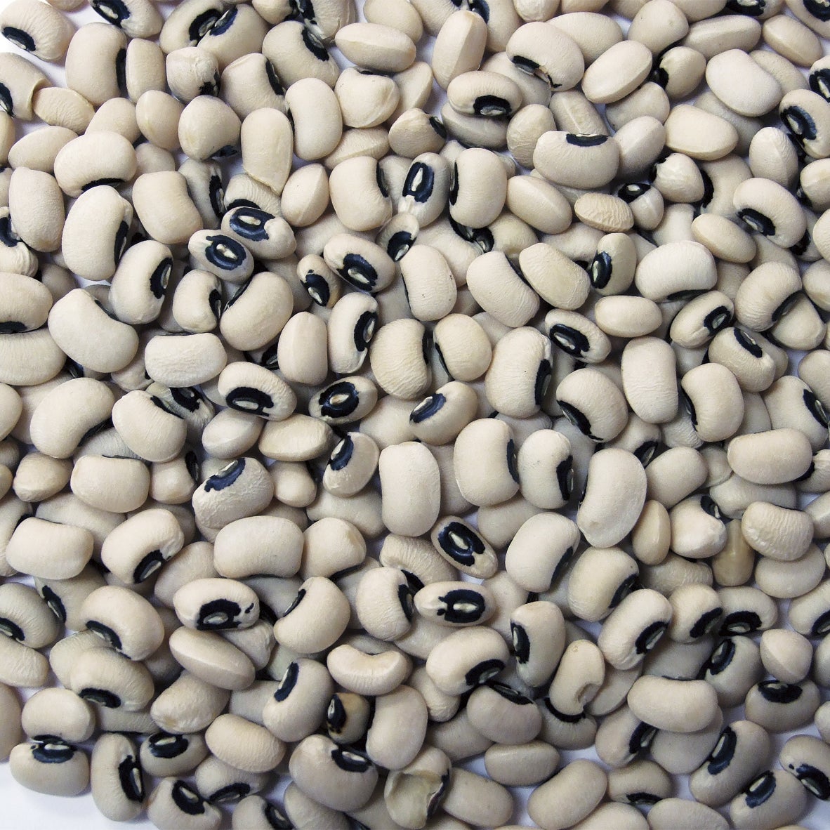 Beans, Blackeye, Dry-Packed,1 - 25 POUND