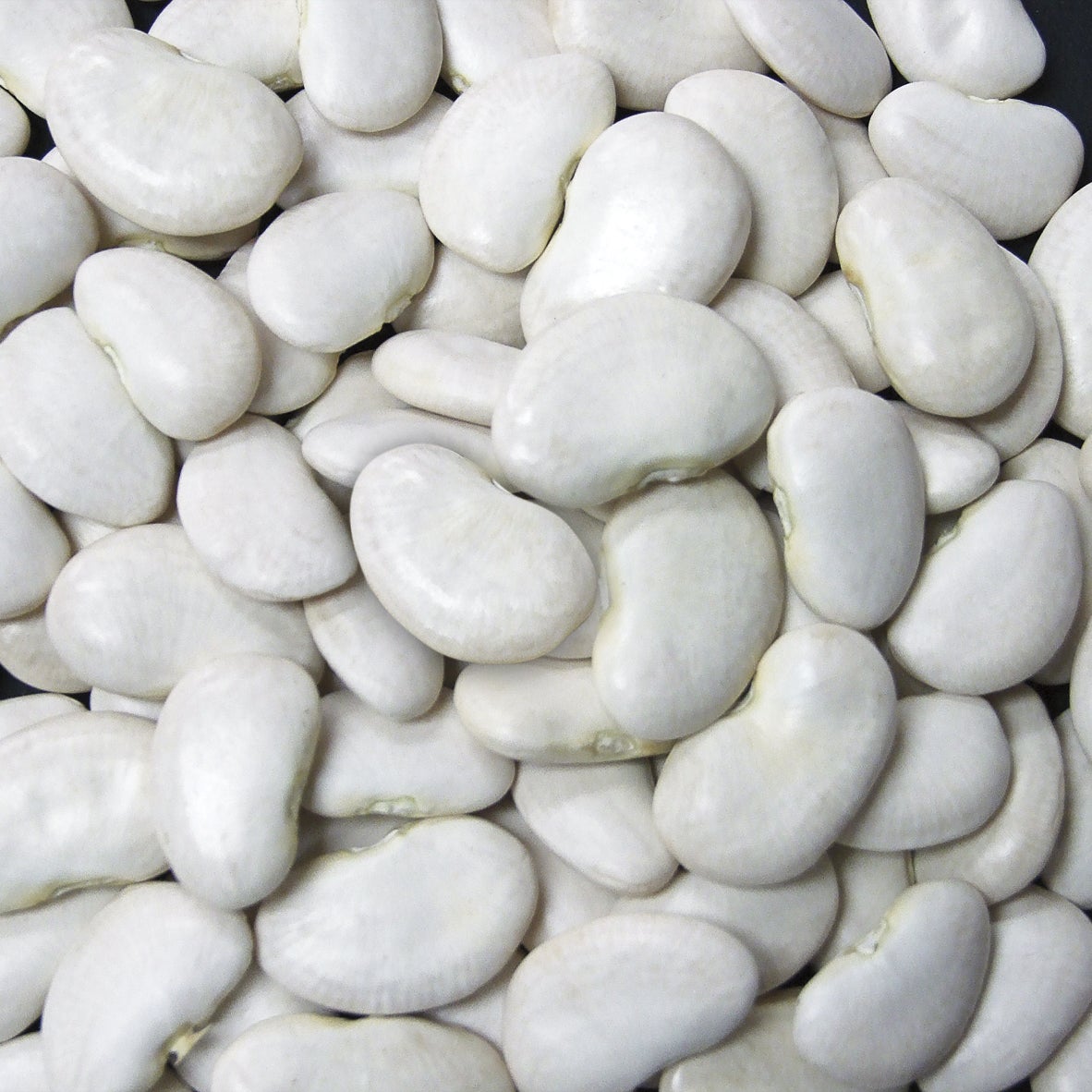 Beans, Lima, Large, Dry-Packed,1 - 20 POUND