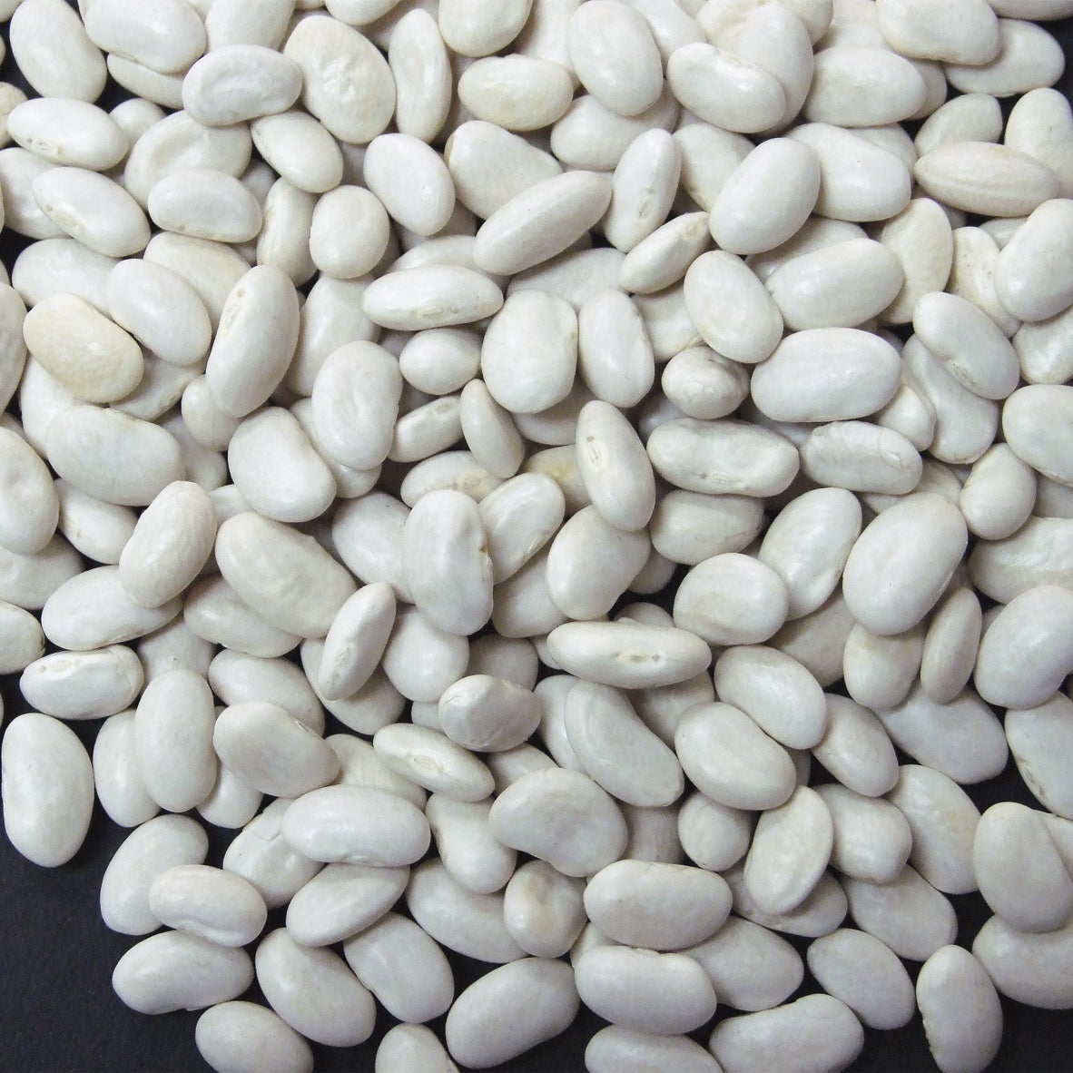 Beans, Great Northern, Dry-Packed,1 - 20 POUND