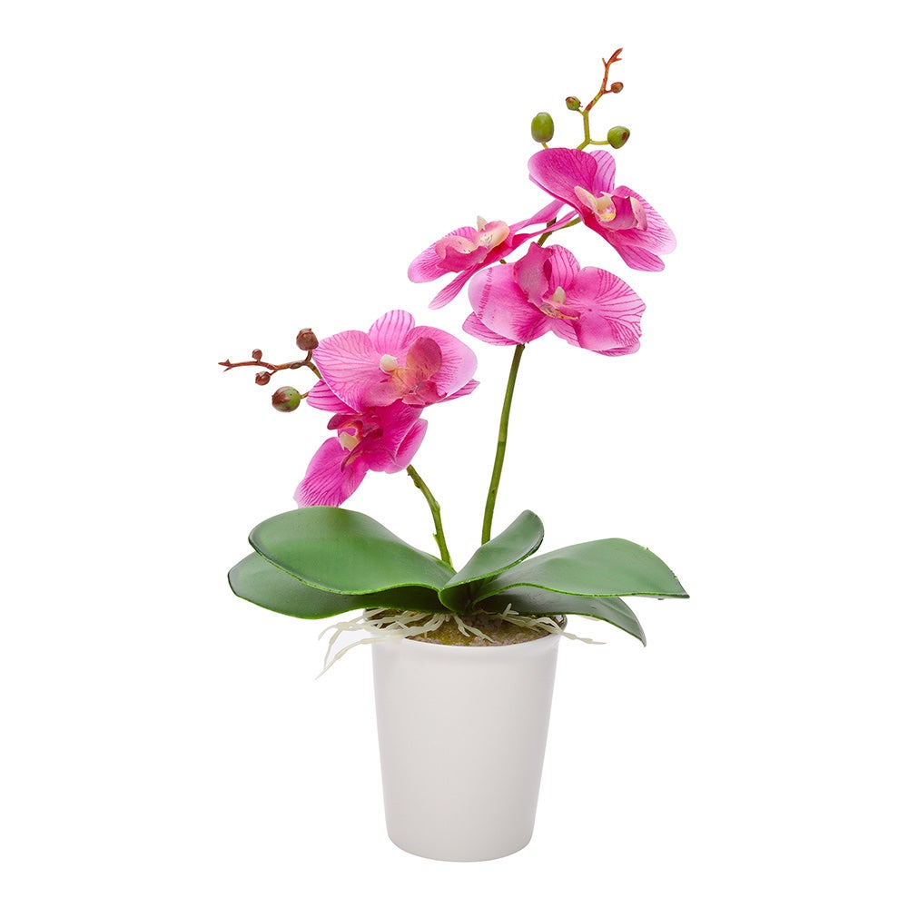 Orchids, Purple, Faux, with 5 Blooms, in White Plastic Pot,1 - 12 COUNT