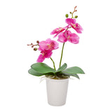 Orchids, Purple, Faux, with 5 Blooms, in White Plastic Pot,1 - 12 COUNT