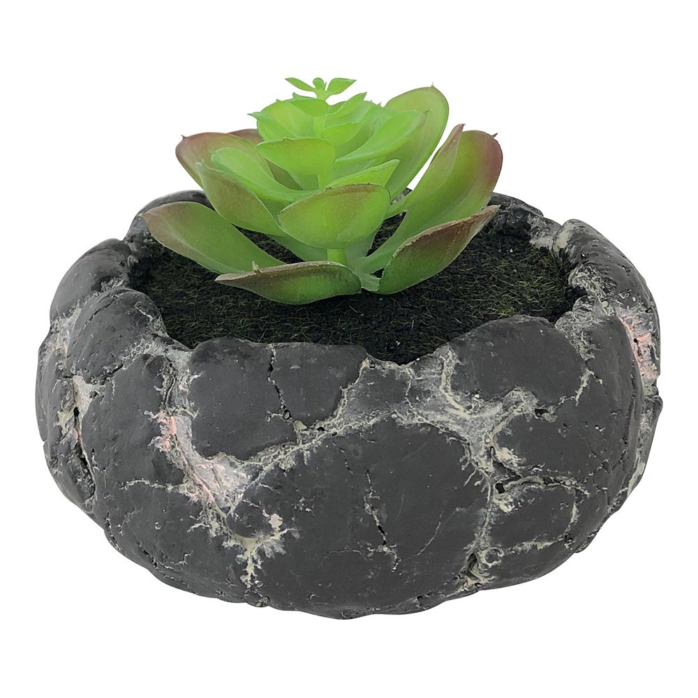 Table Art, Faux Succulent Arrangement, 6 x 6 x 4.5 Inch, Plastic, in Faux Volcanic Rock Cement Planter,1 - 1 EACH