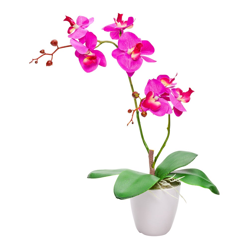 Orchids, Moth, Faux, with 8 Blooms, in White Pot,1 - 12 COUNT