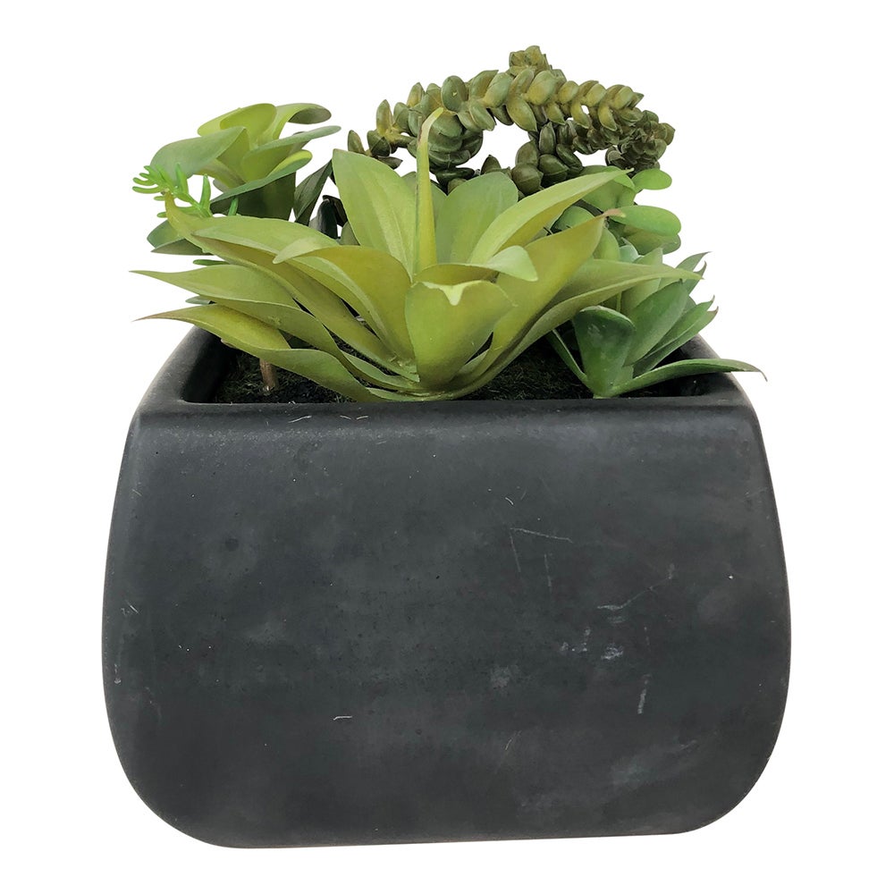 Table Art, Faux Succulent Arrangement, 6 x 6 x 8.5 Inch, Plastic, in Black Tetra Porcelain Planter,1 - 1 EACH