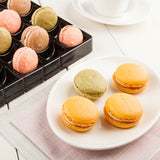 Containers, 48-Compartment Macaron, Plastic, Black, With Shock Safe Lid,1 - 100 COUNT