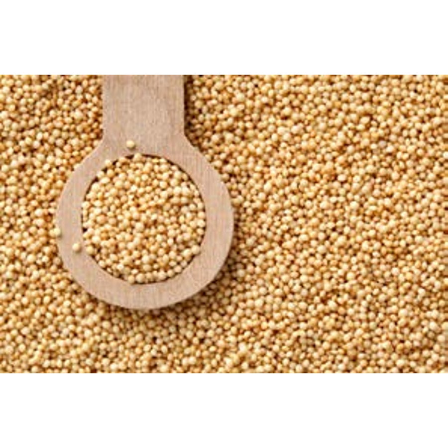 Amaranth, Organic,2 - 5 POUND
