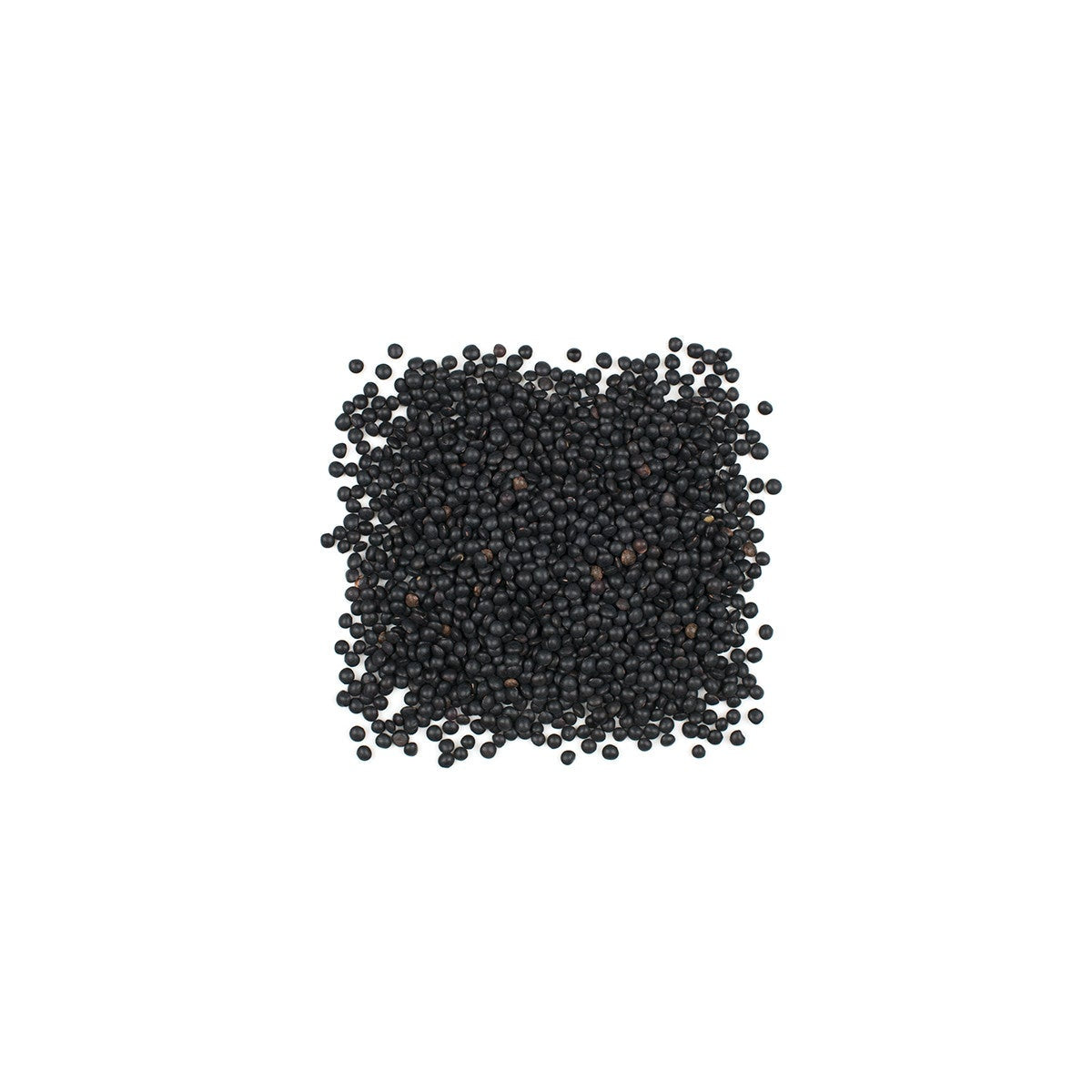 Lentils, Black, Precooked,4 - 5 POUND