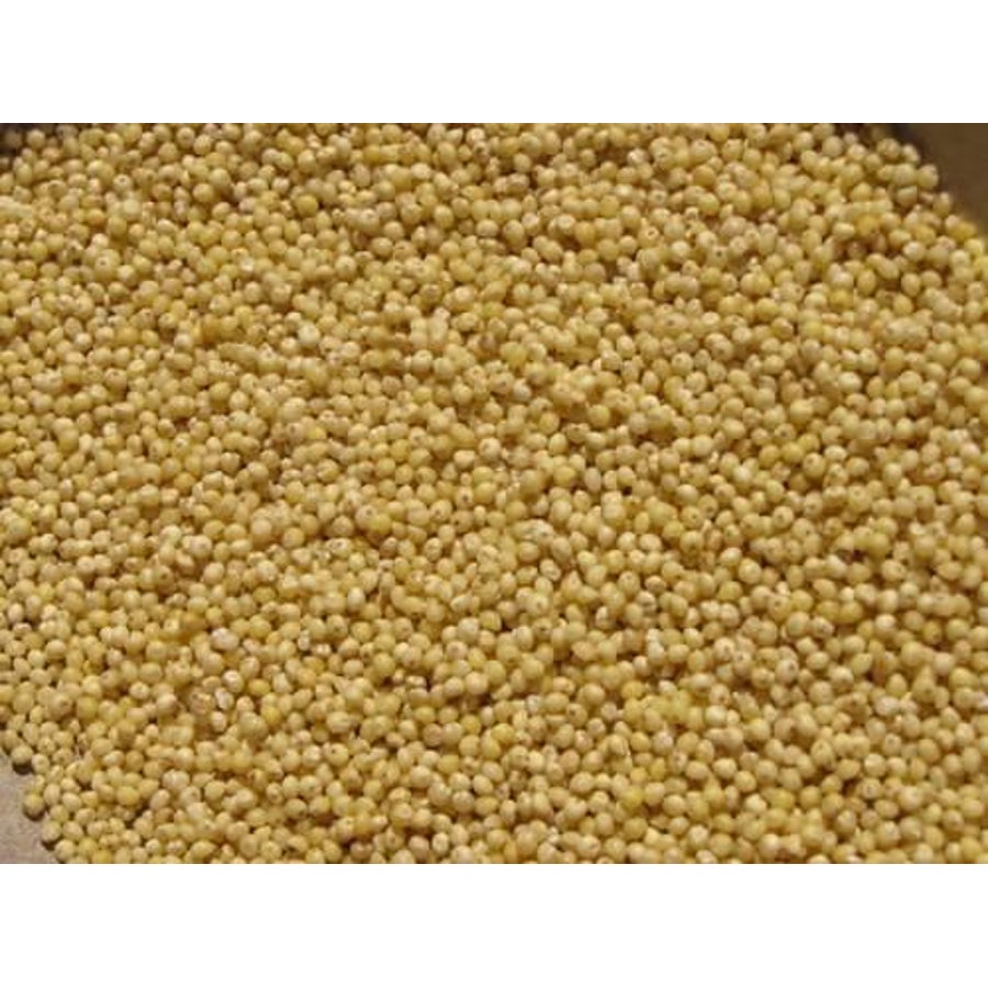 Seeds, Millet, Hulled, Organic,2 - 5 POUND