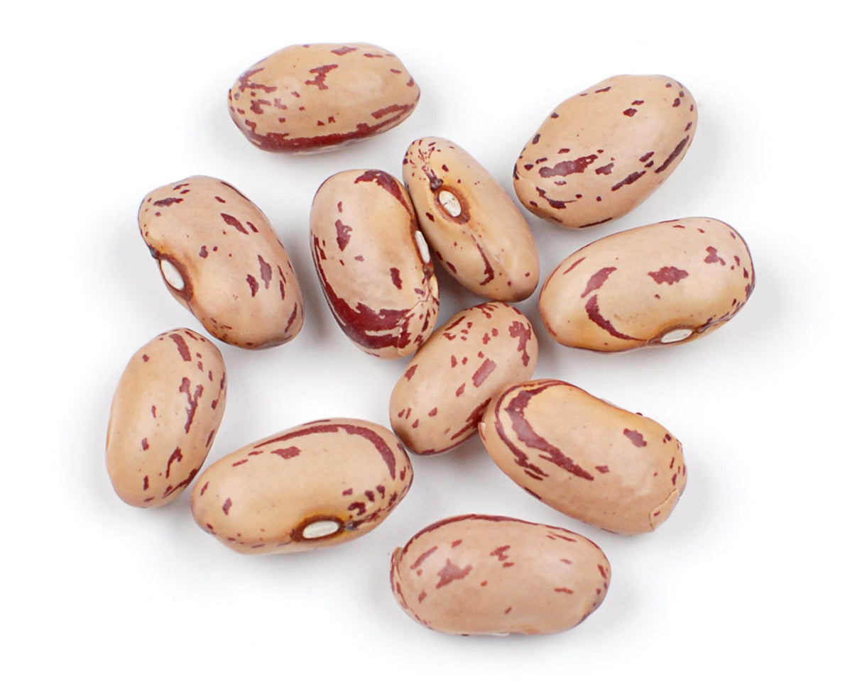 Beans, Cranberry (Borlotti),1 - 10 POUND