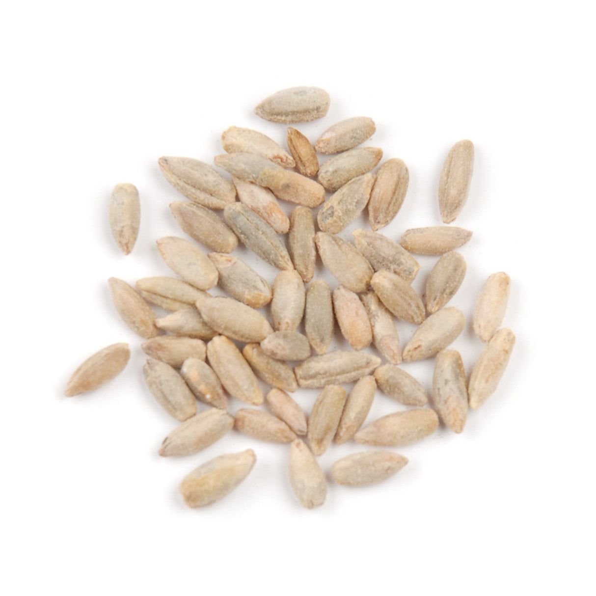 Rye Berries,1 - 10 POUND