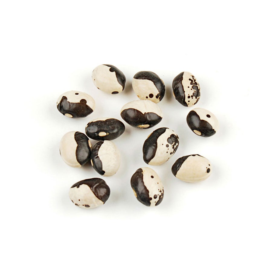 Beans, Black Calypso,1 - 10 POUND