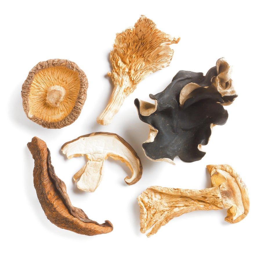Mushroom Blend, Forest,1 - 16 OUNCE