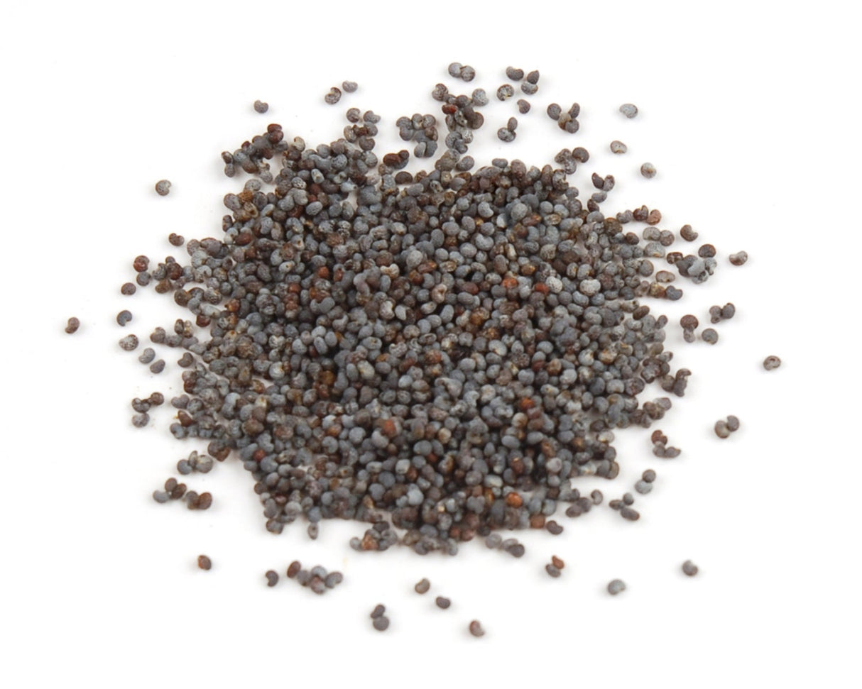 Spice, Poppy Seed,1 - 5 POUND