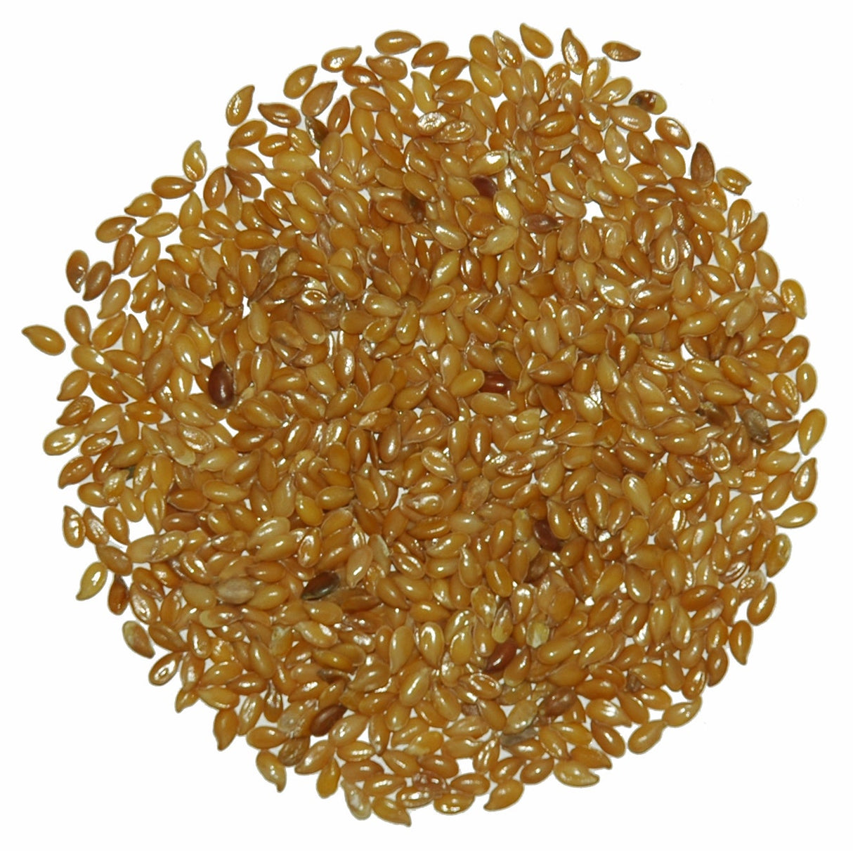 Spice, Flax Seed, Whole, Golden, Organic,1 - 10 POUND