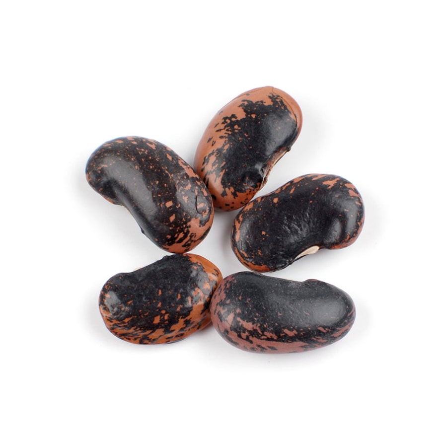 Beans, Scarlet Runner,1 - 10 POUND