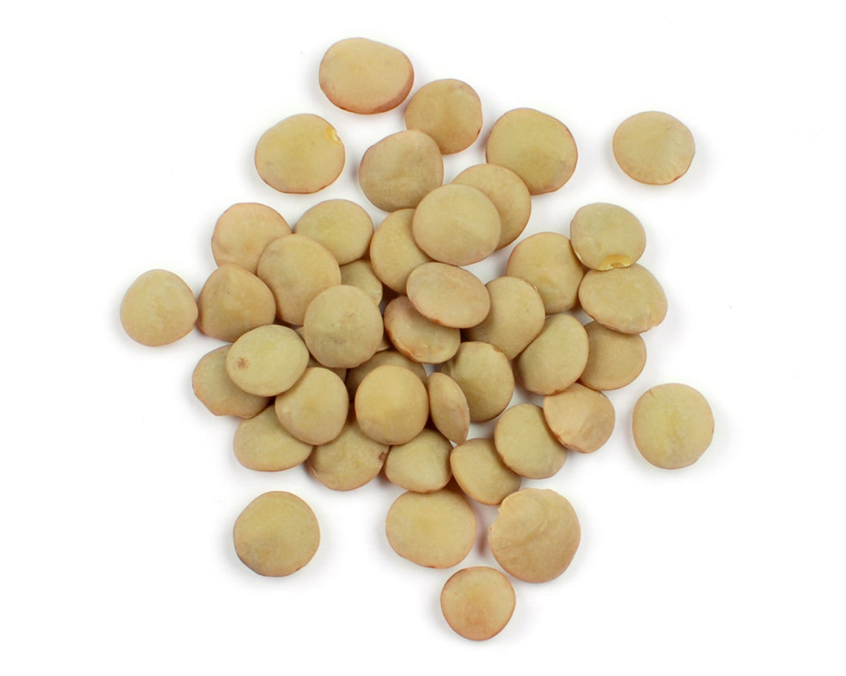 Lentils, Green,1 - 10 POUND
