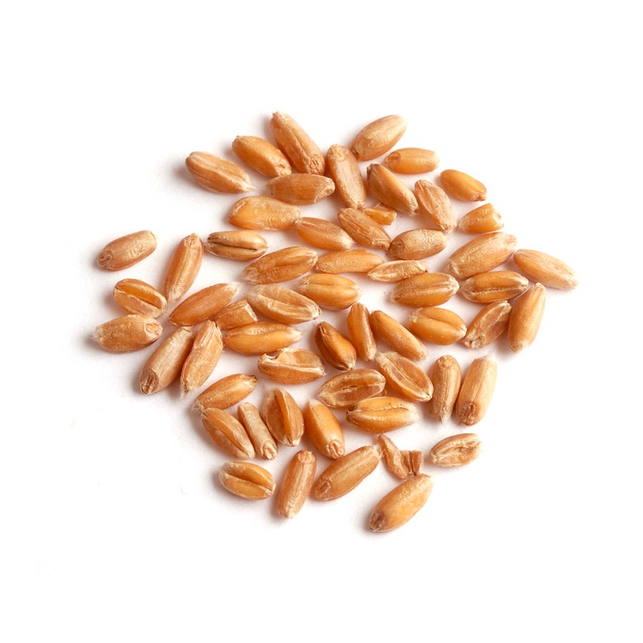 Spelt,1 - 10 POUND