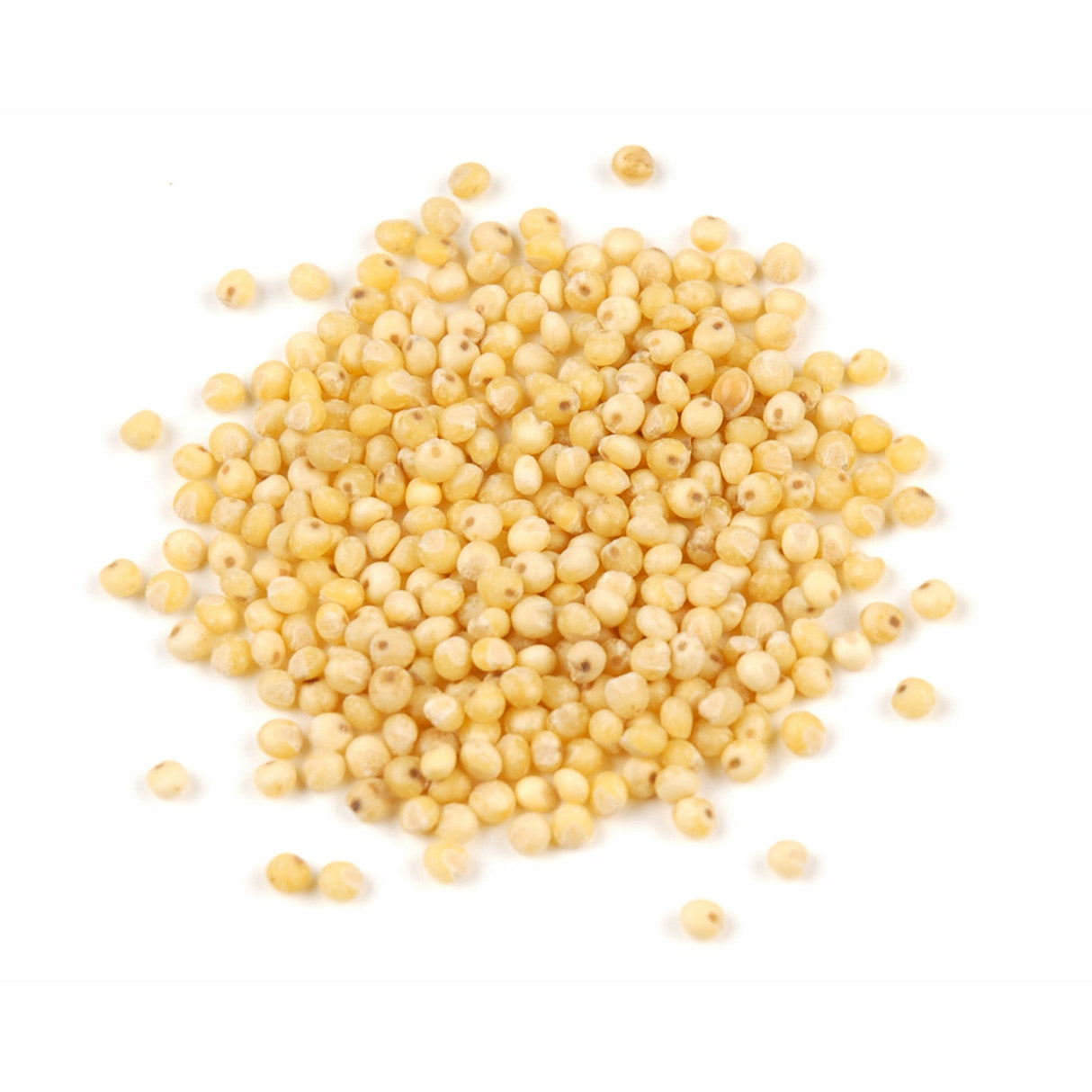 Seed, Millet,1 - 10 POUND