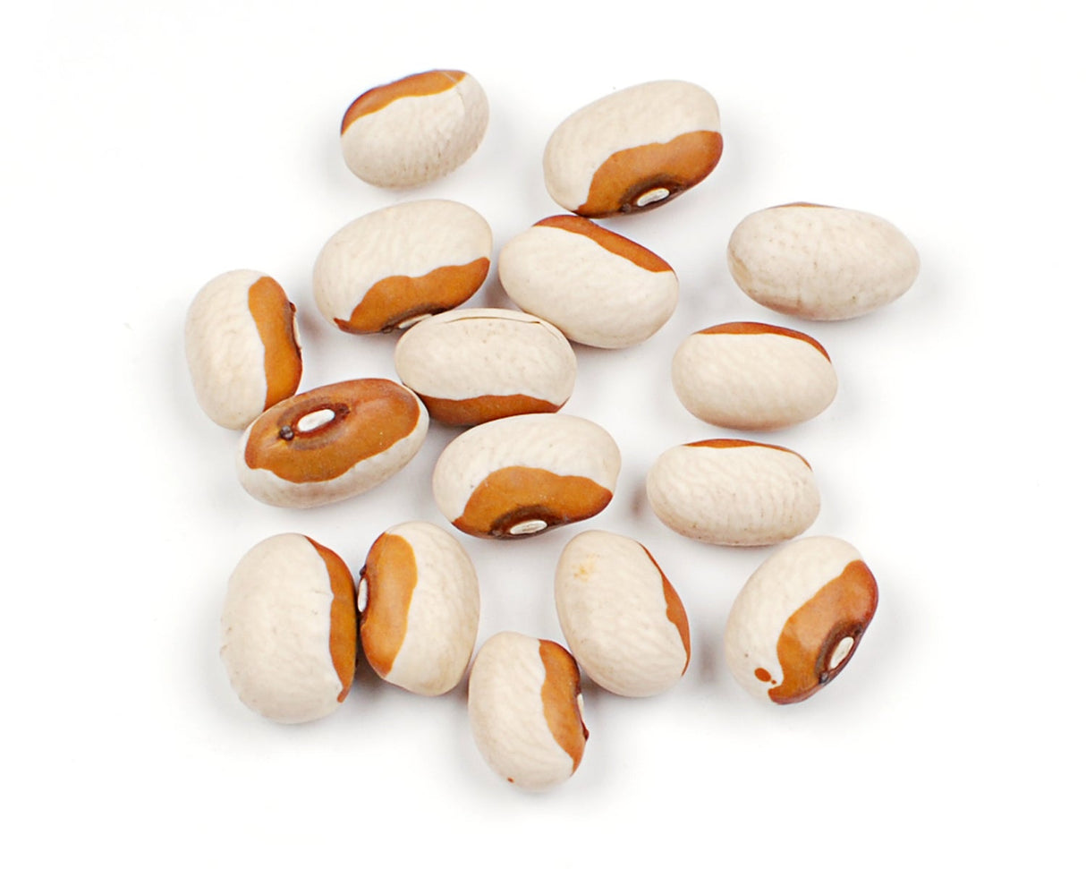 Beans, Yellow Eye,1 - 10 POUND