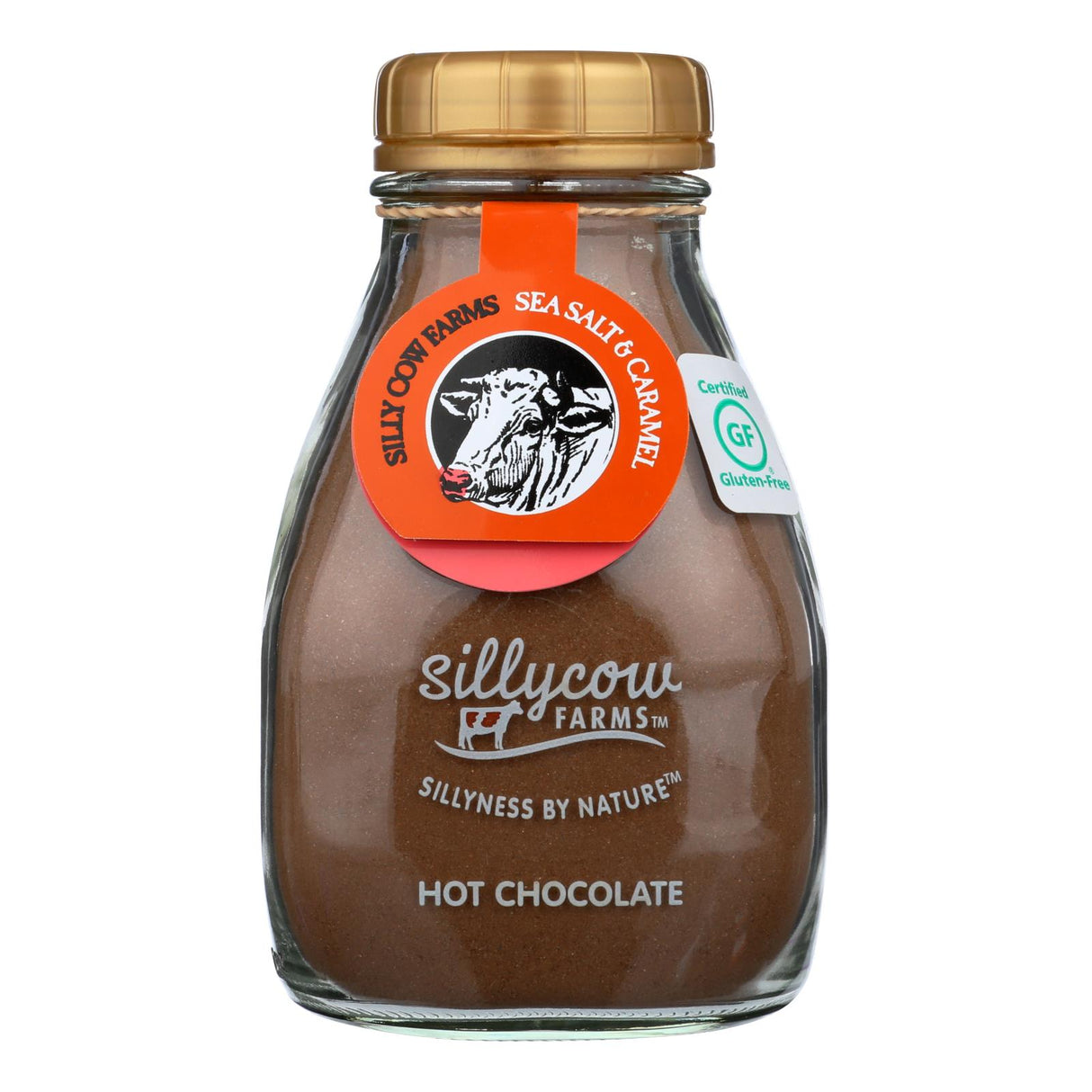 Hot Chocolate Mix, Sea Salt & Caramel, Bulk,6 - 16.9 OUNCE
