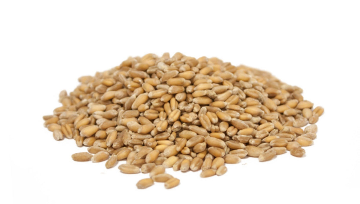 Wheat,1 - 50 POUND