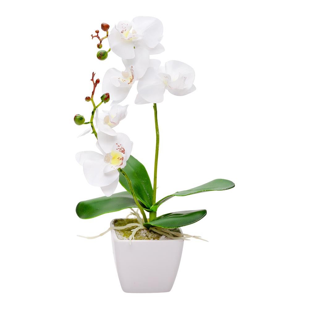 Flowers, Artificial, 5 Bloom, Orchids, Plastic, White, in Plastic Pot,1 - 1 EACH
