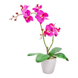 Flowers, Artificial, 8 Bloom, Moth Orchids, Plastic, Magenta, in Plastic Pot,1 - 1 EACH