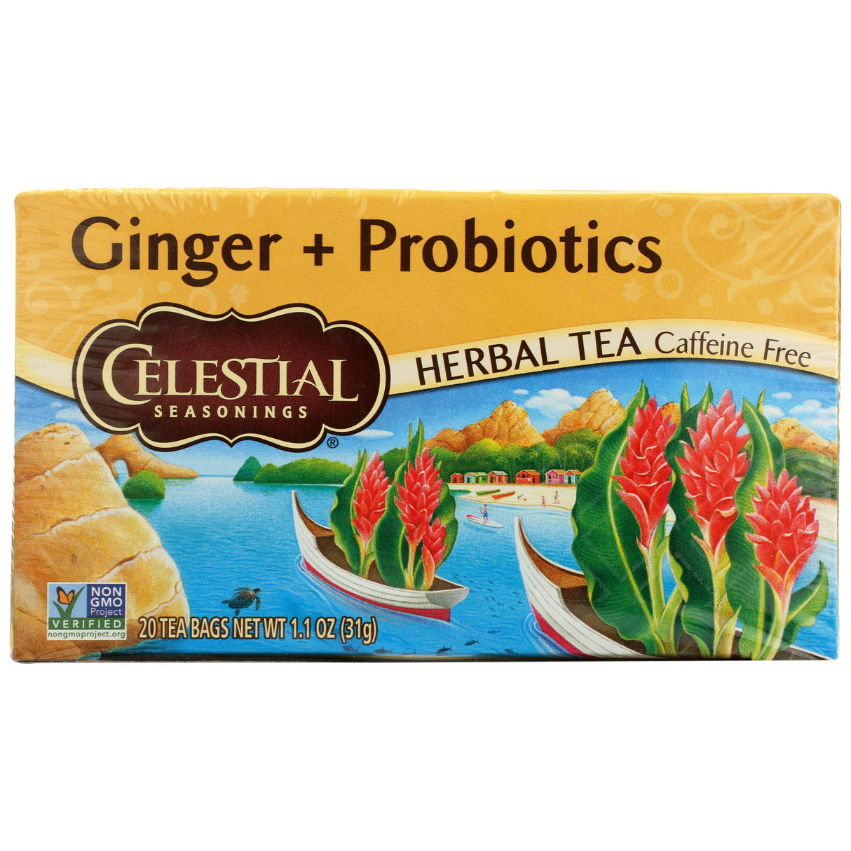 Tea, Herbal, Ginger, with Probiotics, Individually Wrapped with String,6 - 20 COUNT