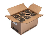 Oatmeal, Protein, Single-Serve Cup,12 - 2.12 OUNCE
