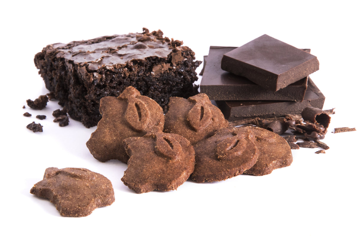 Snack Bites, Crispy, Cocoa, Whole Grain, Individually-Wrapped,108 - 1 OUNCE