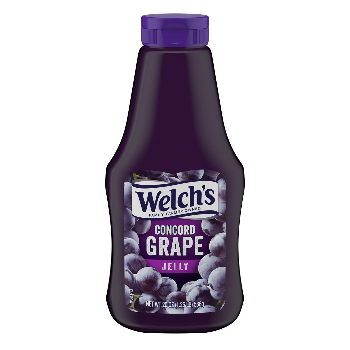 Jelly, Concord Grape,12 - 20 OUNCE