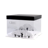 Boxes, Cake, 8.5 x 8.5 x 6.75 Inch, Square, Clear Plastic, White Base, Black Lid, Black Ribbon, Tree Accent,1 - 10 COUNT