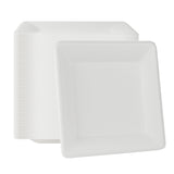 Plates, Pulp Safe 10.25 x 10.25 x 0.5 Inch, Sugarcane & Bagasse, White, Square, 1 Each,100 - 1 COUNT
