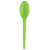 Spoons, Basic Nature, Plastic, Green, CPLA, 6.5 Inch, Heat-Resistant, 1 Each,250 - 1 COUNT
