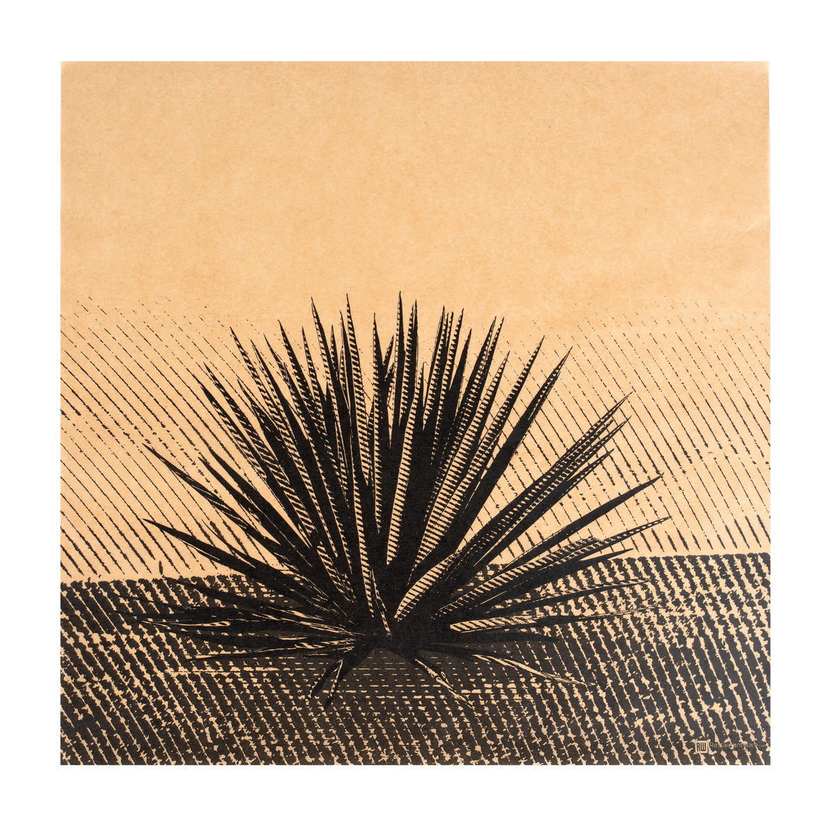 Food Wrap & Basket Liners, RW Base 12 x 12 Inch, Greaseproof Paper, Kraft, Mexican Agave Print,200 - 1 EACH