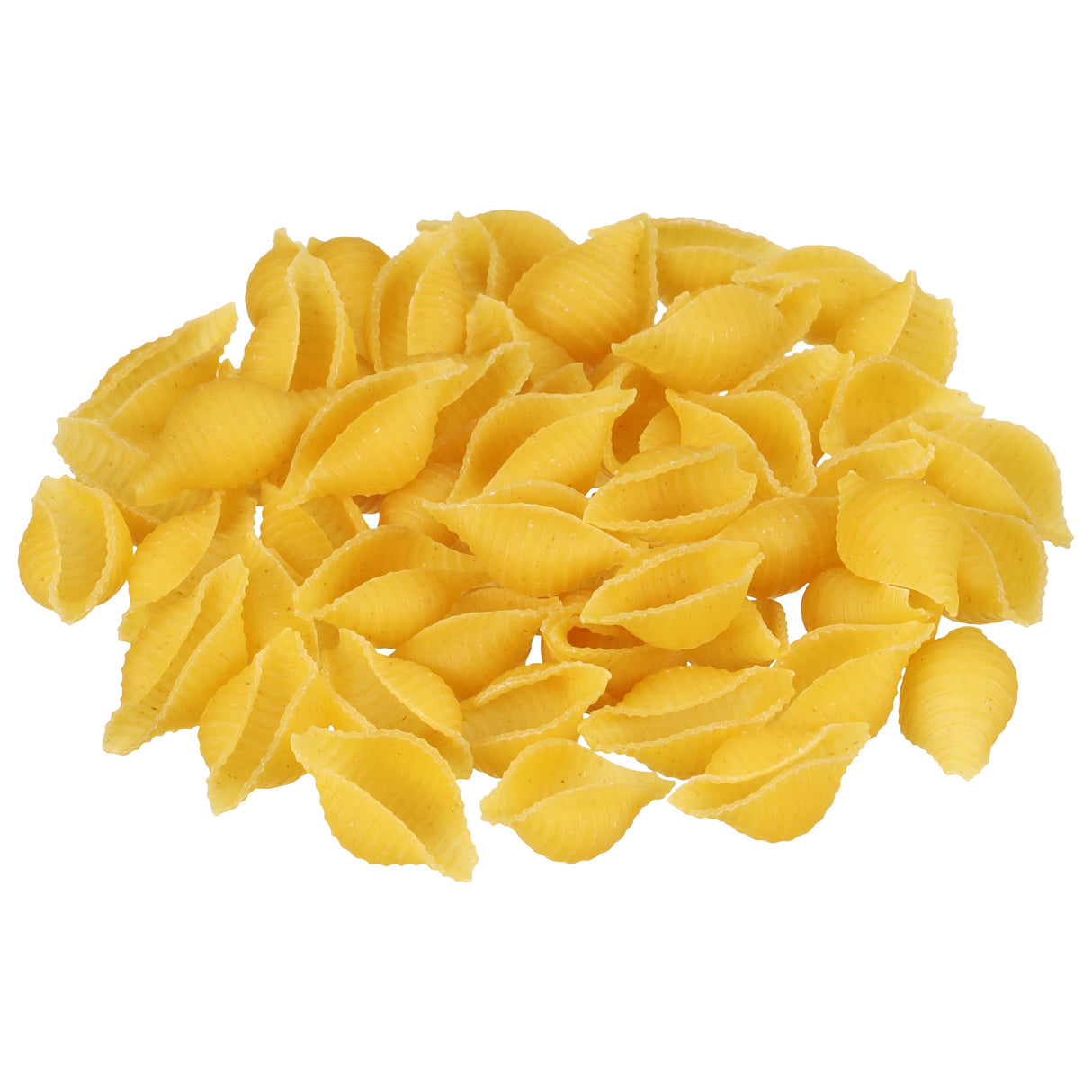 Pasta, Shell, Medium, Bulk,2 - 160 OUNCE