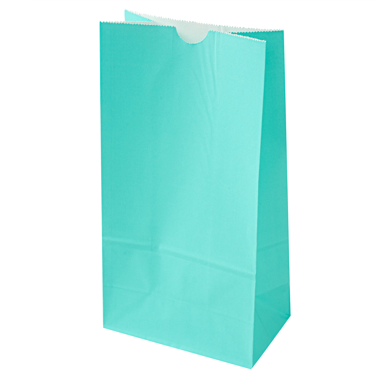 Bags, Bag Tek 6 Pound, Paper, Turquoise, 6 x 3.50 x 10.75 Inch,100 - 1 EACH