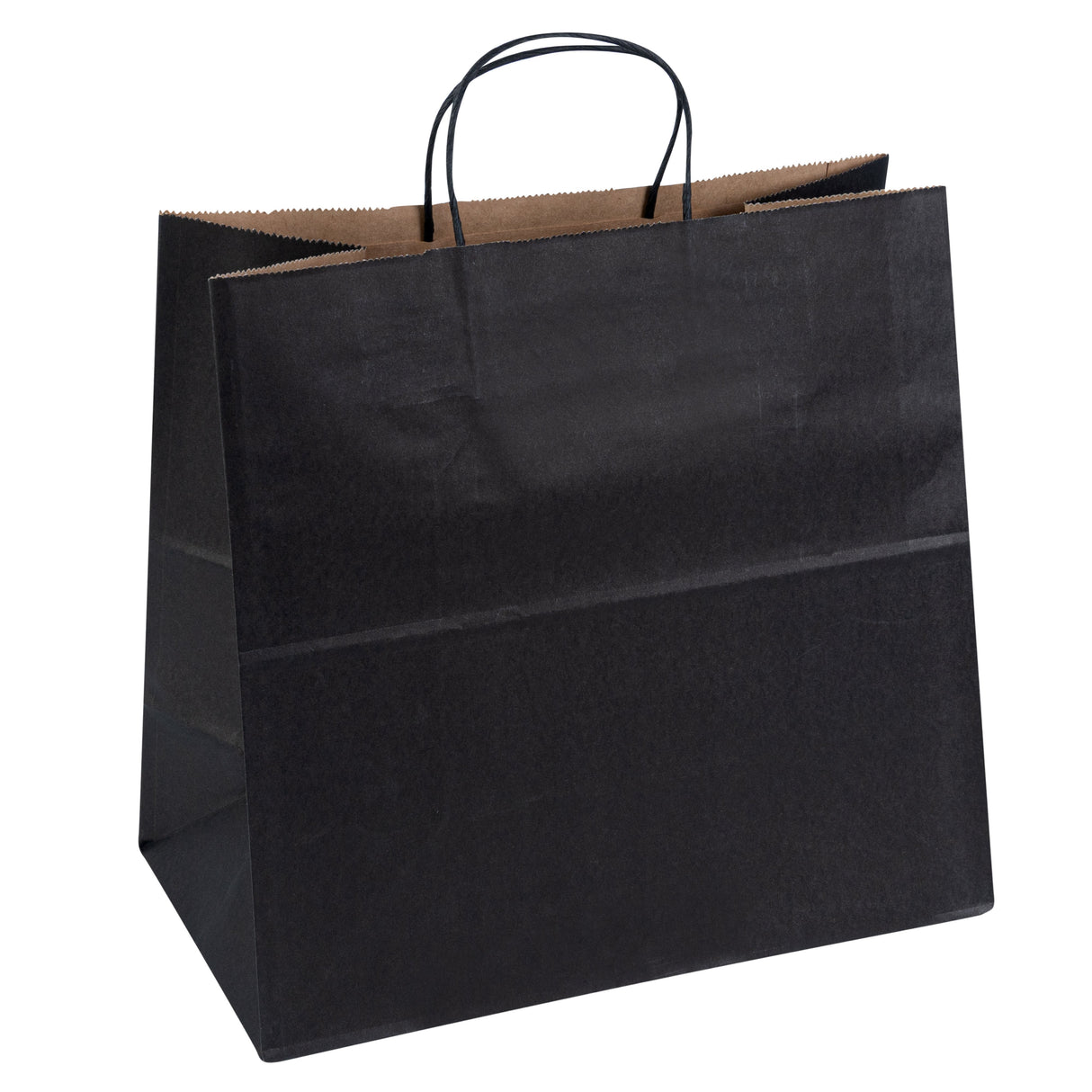 Bags, Retail, Saving Nature 12.50 x 6.25 x 12.25 In, Paper, Black, with Handles,100 - 1 EACH