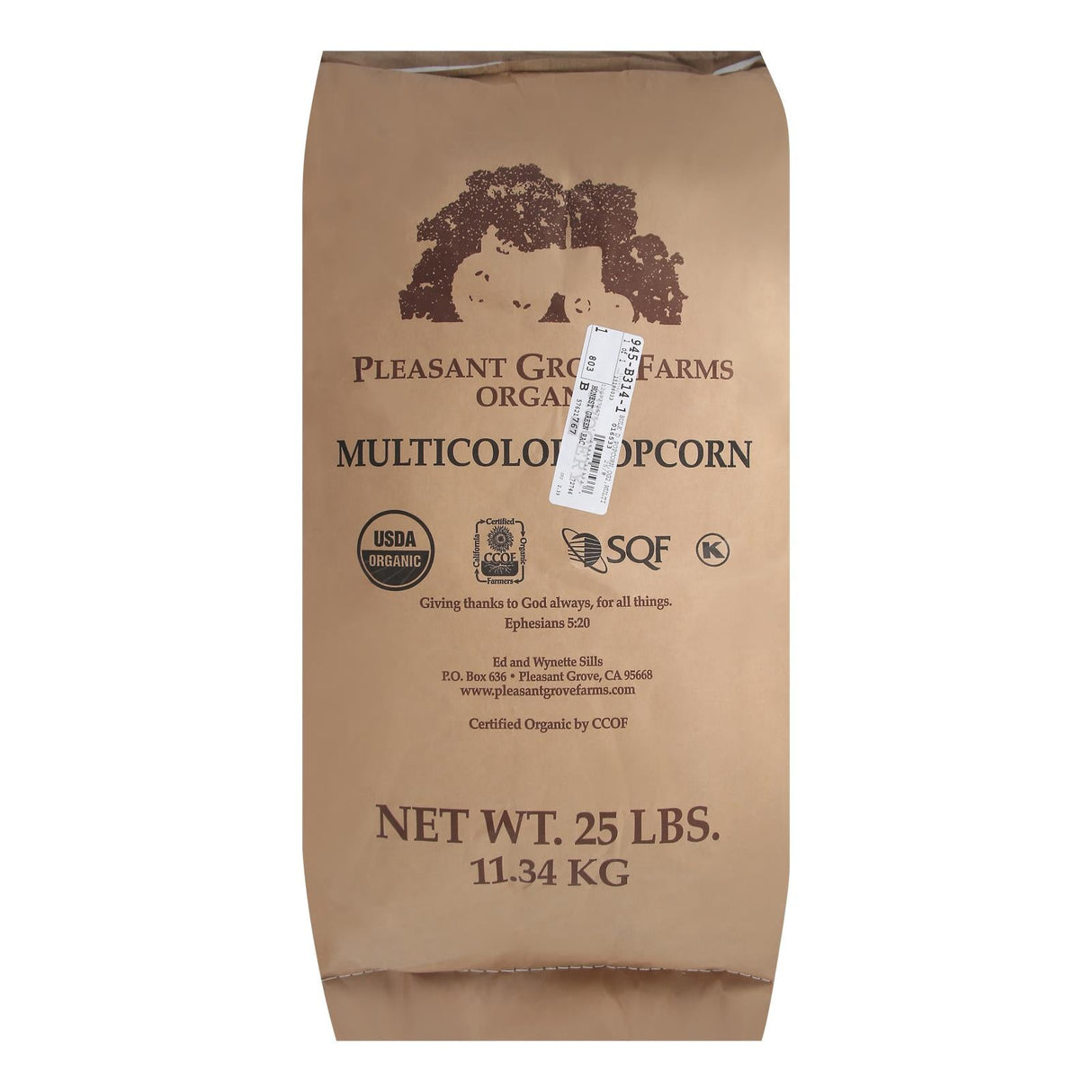 Popcorn Kernels, Multi-Color, Bulk,1 - 25 POUND