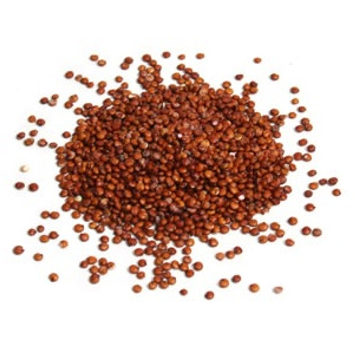 Quinoa, Red, Bulk,1 - 25 POUND