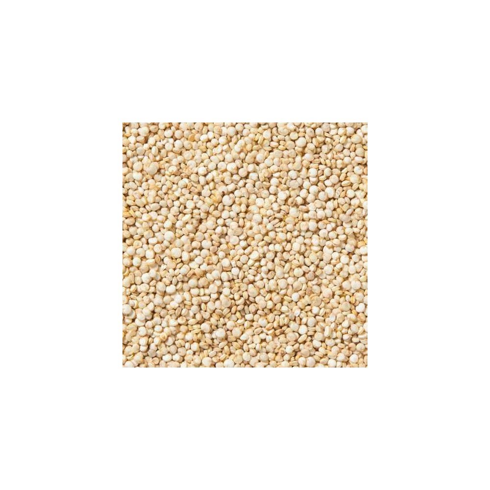 Quinoa, White, Bulk,1 - 25 POUND