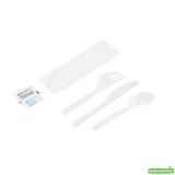Cutlery Kits, Fork/Knife/Spoon, Basic Nature, Plastic, White, with Napkin/Salt/Pepper, 6.25 Inch, Wrapped,250 - 6 PIECE