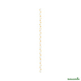 Cake Pop & Lollipop Stick, 6 x 0.16 Inch, Paper, Orange Polka Dot,25 - 1 EACH