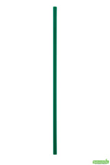 Straws, 8.3 Inch, Plastic, Green, PLA, 8.3 Linear Inch,1 - 2000 COUNT